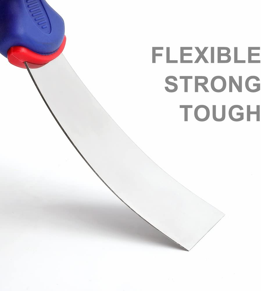 Stainless steel putty knife with blue and red ergonomic handle