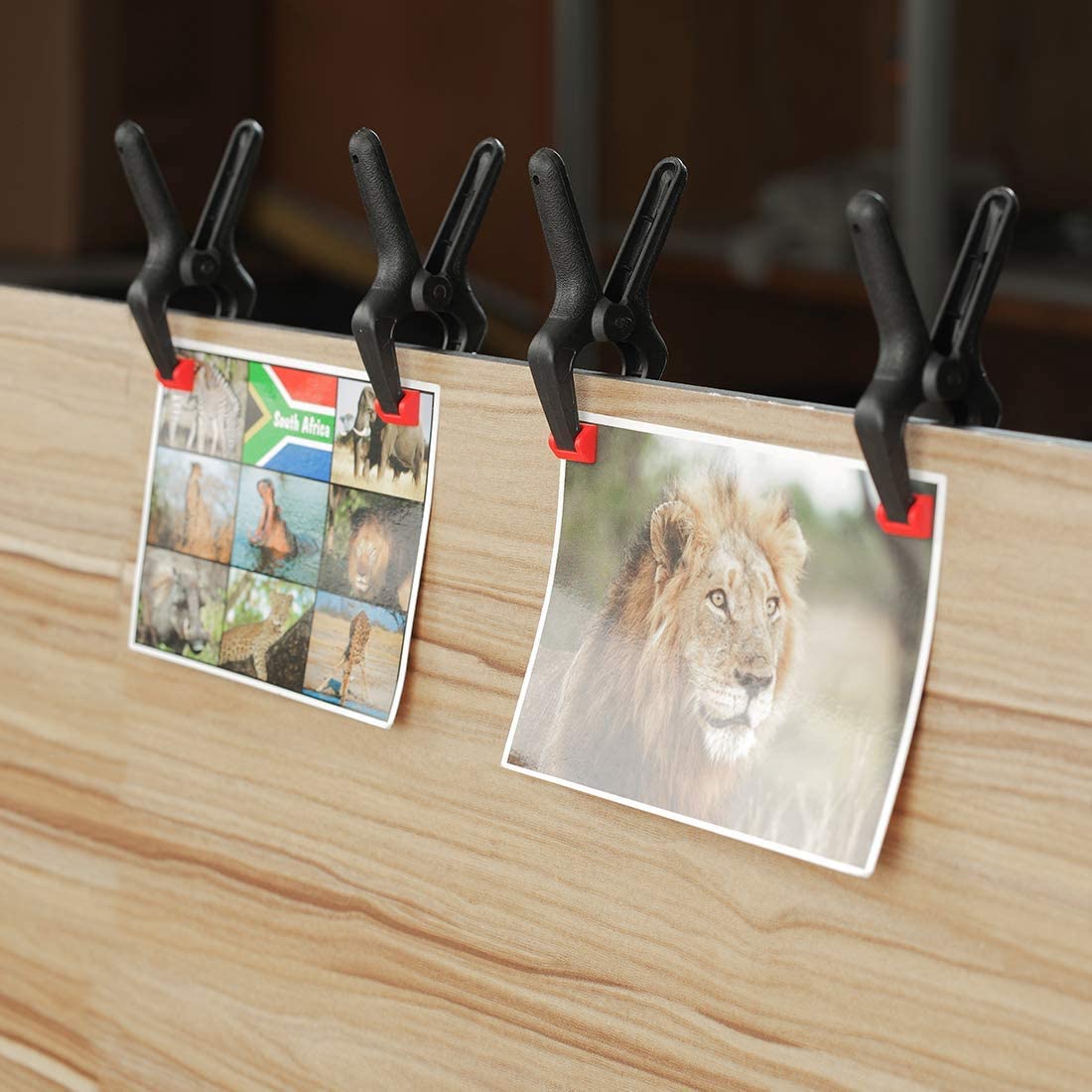 Black spring clamps with red jaw pads holding photo prints on a wooden board