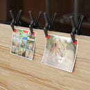 WORKPRO 16 Pcs Nylon Spring Clamp Set for Woodworking, Photography Studios and DIY Works