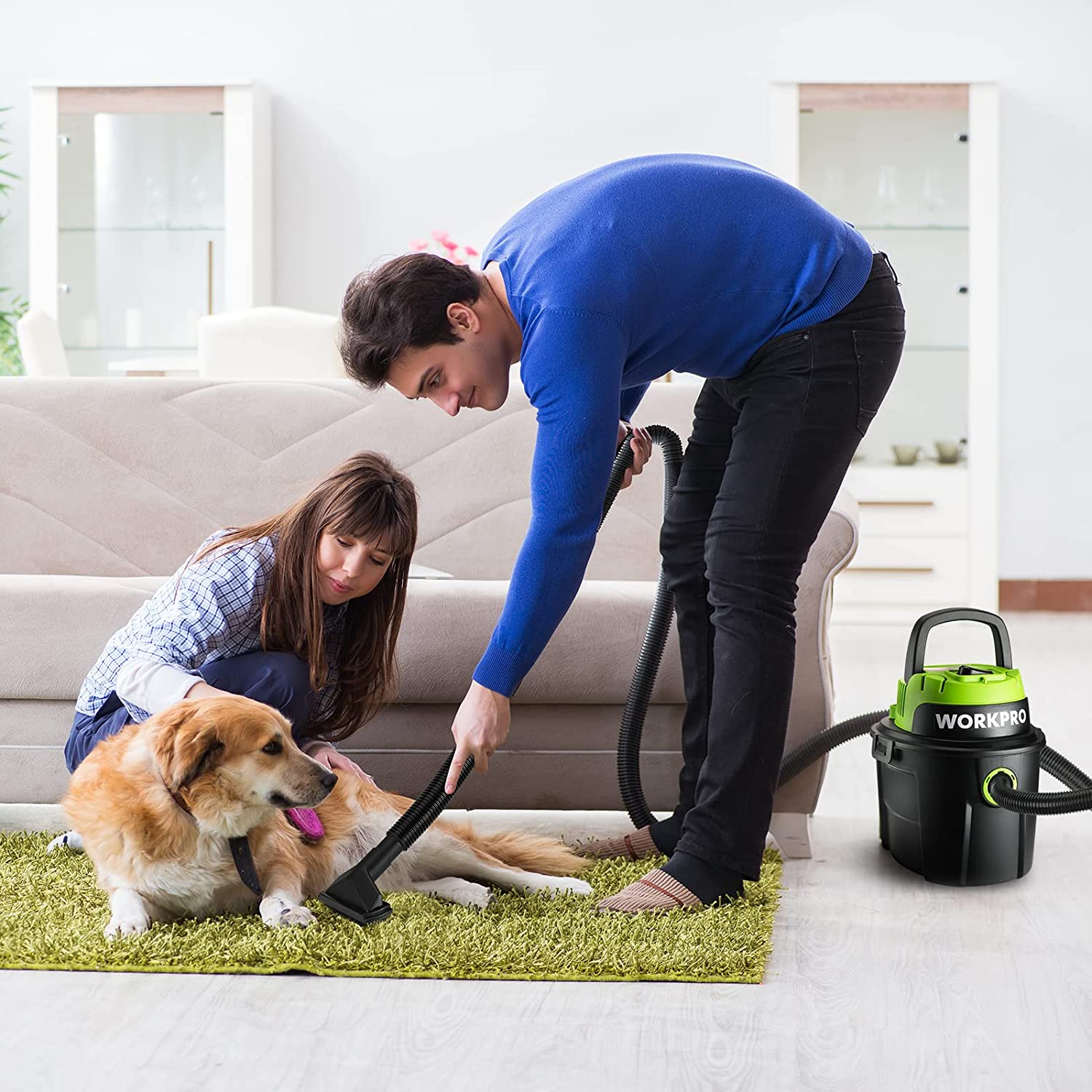 Portable wet/dry shop vacuum with hose attachment, green top and black tank on carpet.