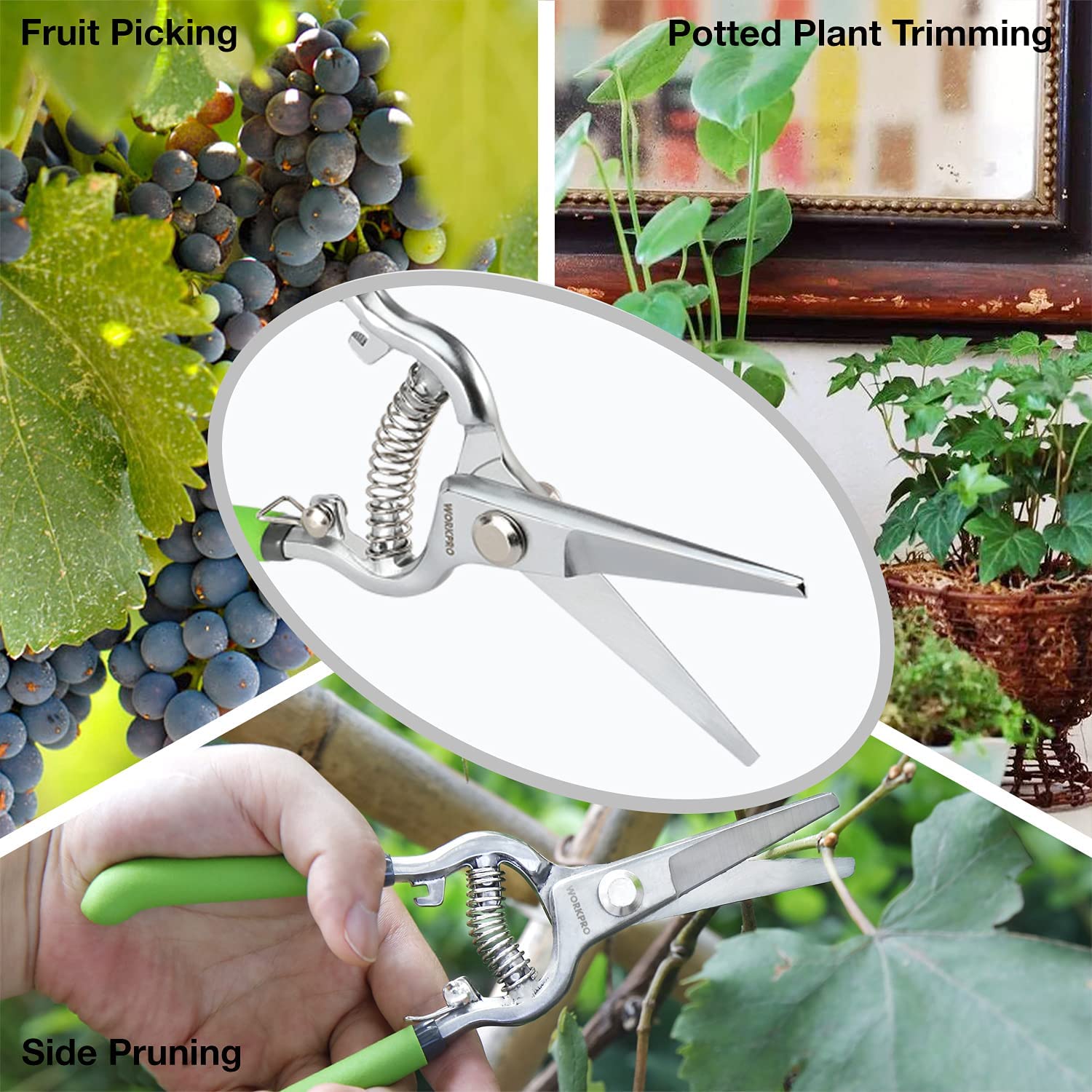 Handheld pruning shears with green handles and sharp silver bypass blades