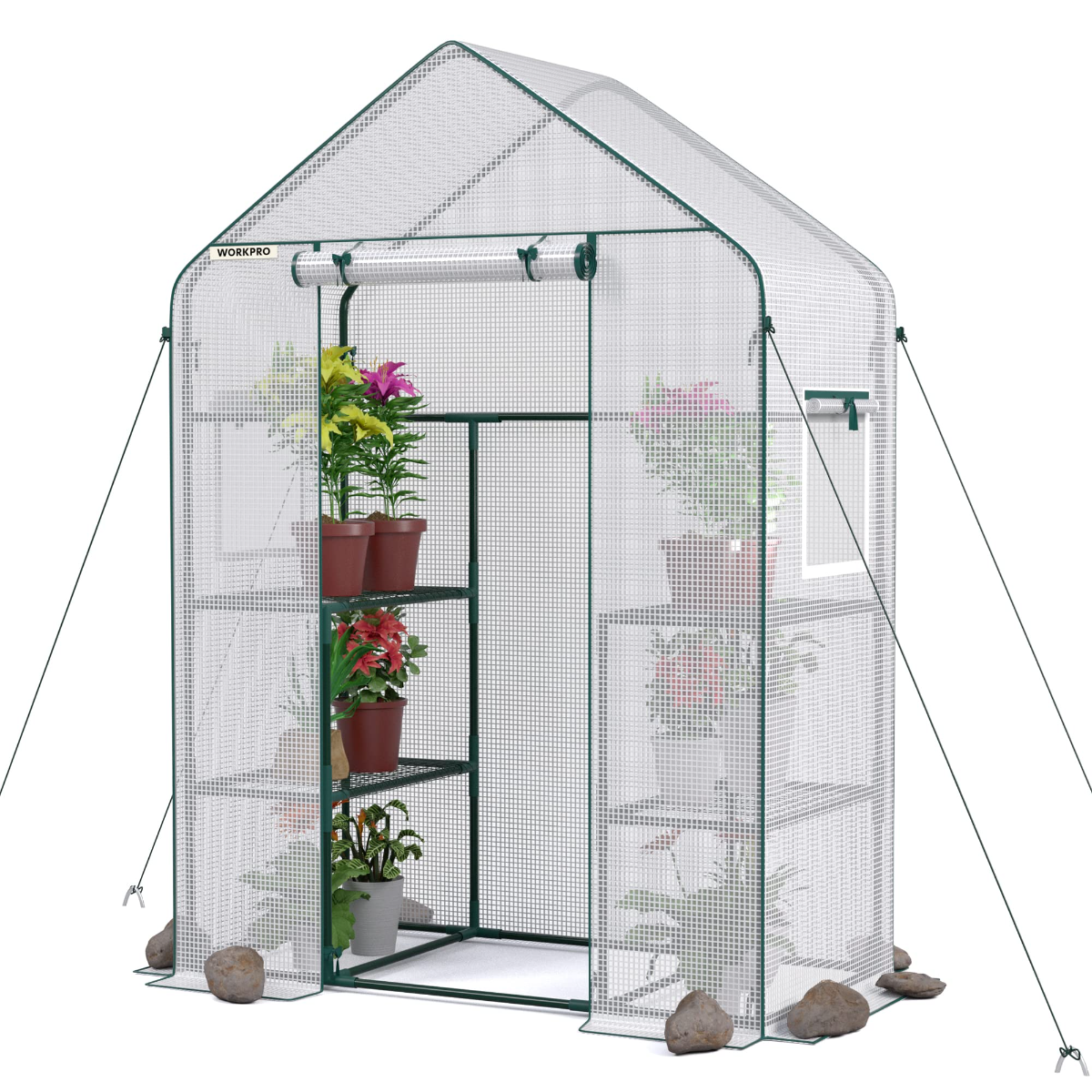 Portable walk-in greenhouse with clear PE cover, front zip door, and wire shelves