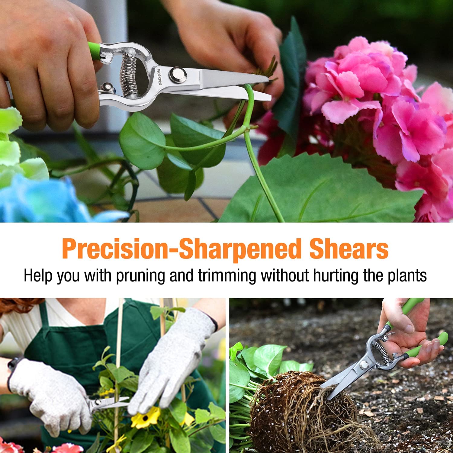 Precision pruning shears with green handles and curved silver blades