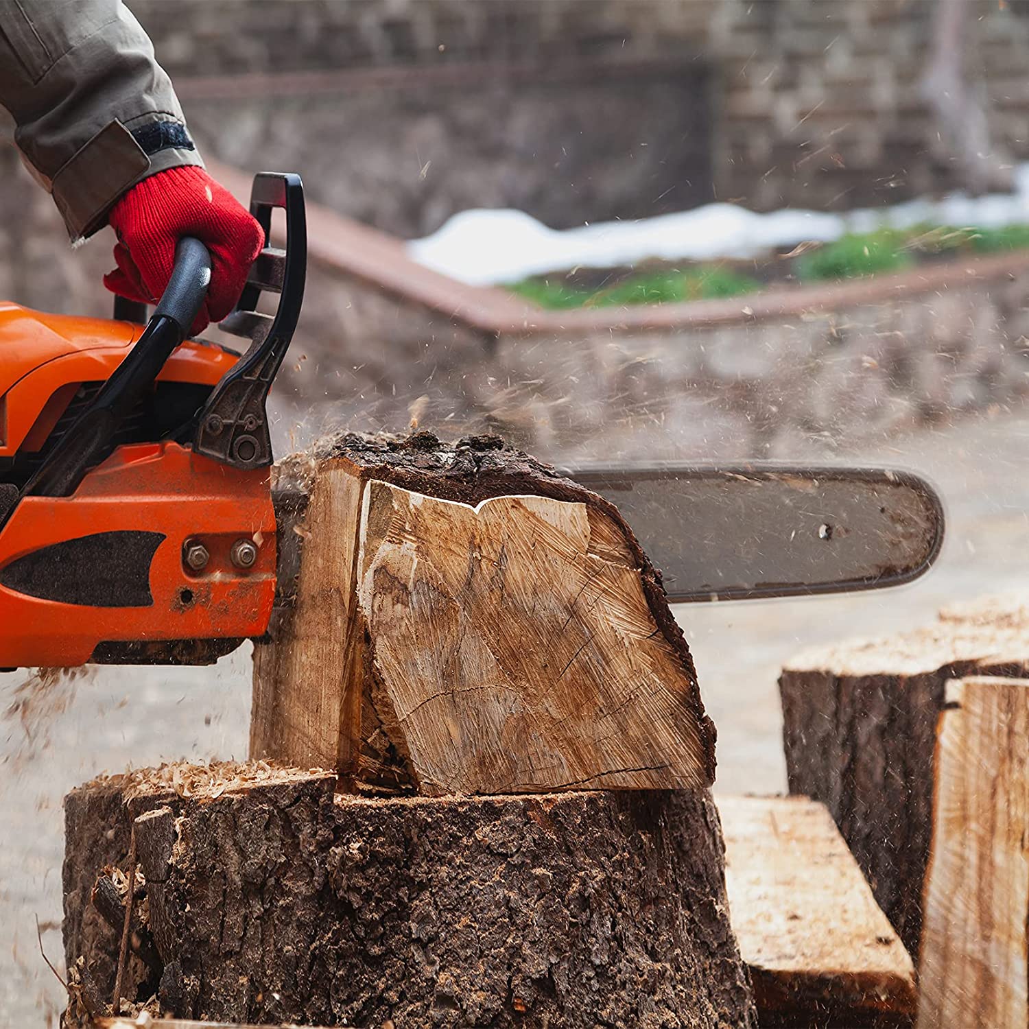 Chainsaw chain on guide bar cutting firewood, with visible sawdust