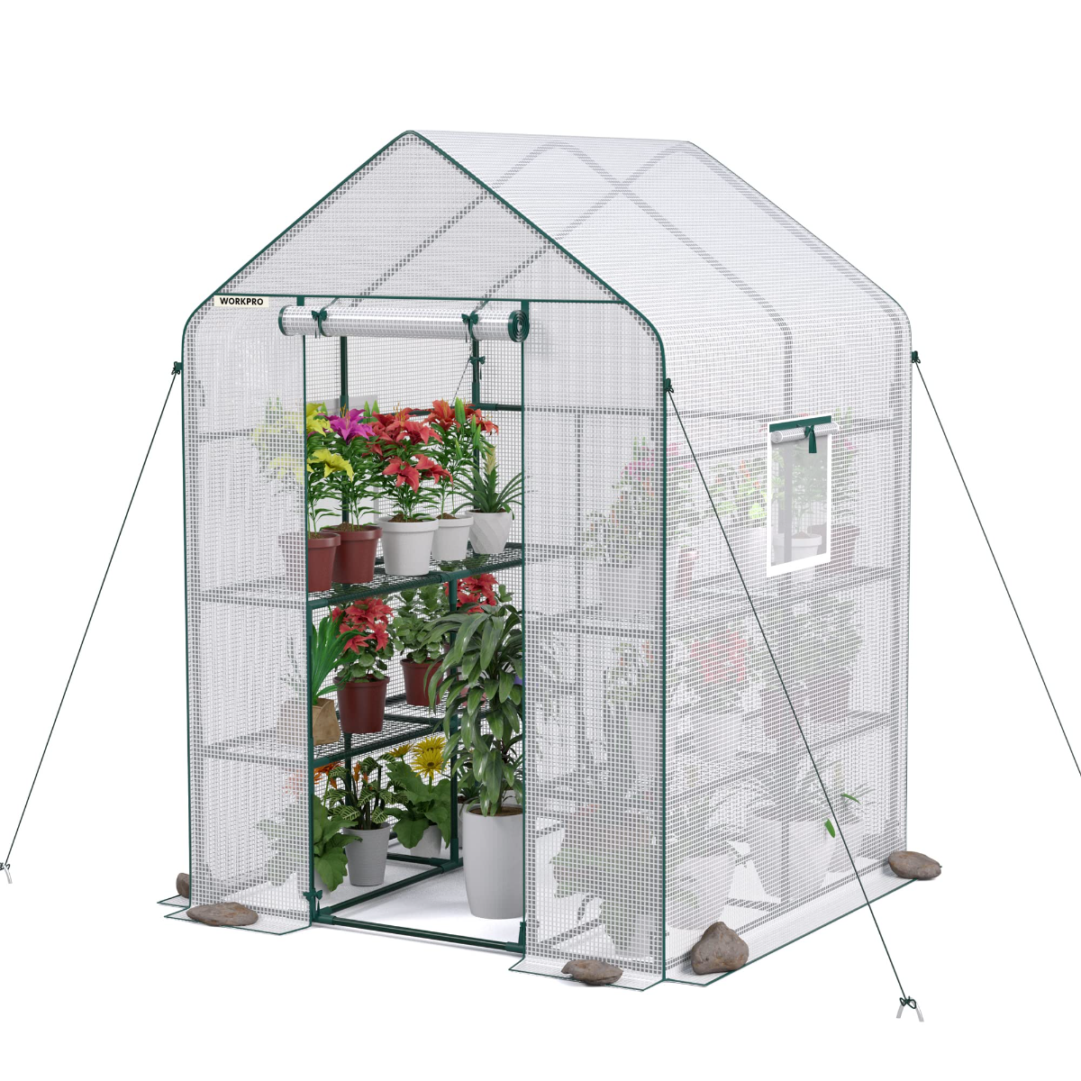 Portable walk-in greenhouse with zipped mesh panels and roll-up door, potted plants
