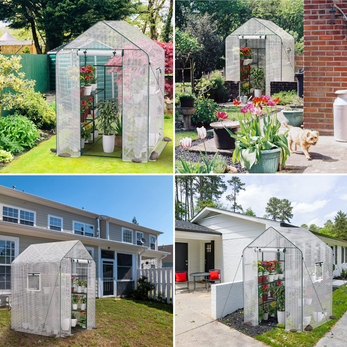 Portable walk-in greenhouse outdoors with mesh panels and front door, potted flowers