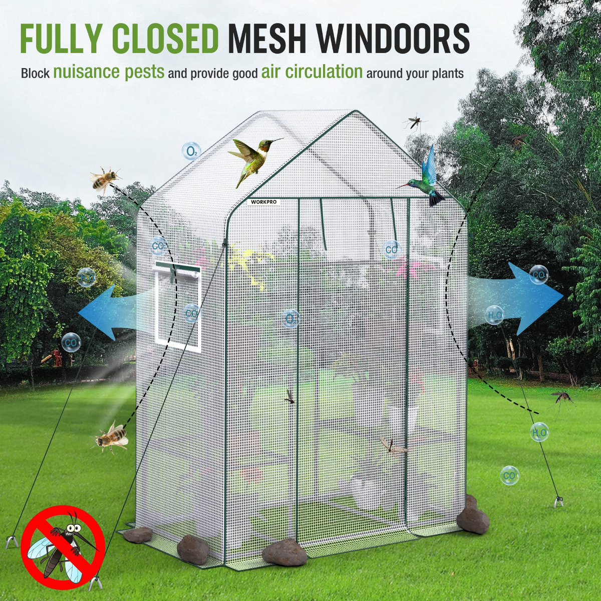 Portable walk-in greenhouse with fully closed mesh windows and roll-up door